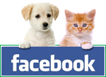 Volg Dier.nl op facebook!